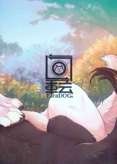第33頁圖