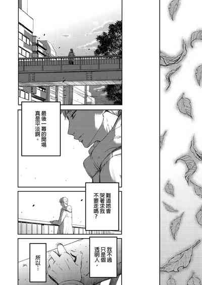 第493頁圖