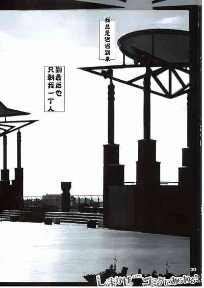 第29頁圖