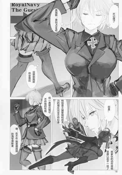 第17页图