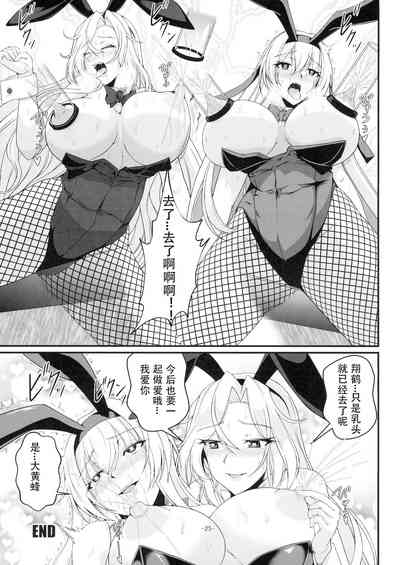 第25页图