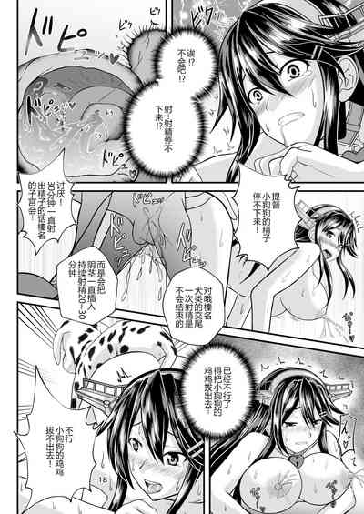 第17页图