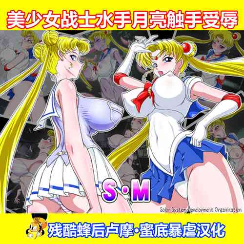 S・M图