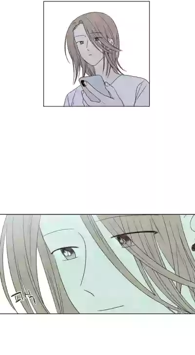 第381頁圖