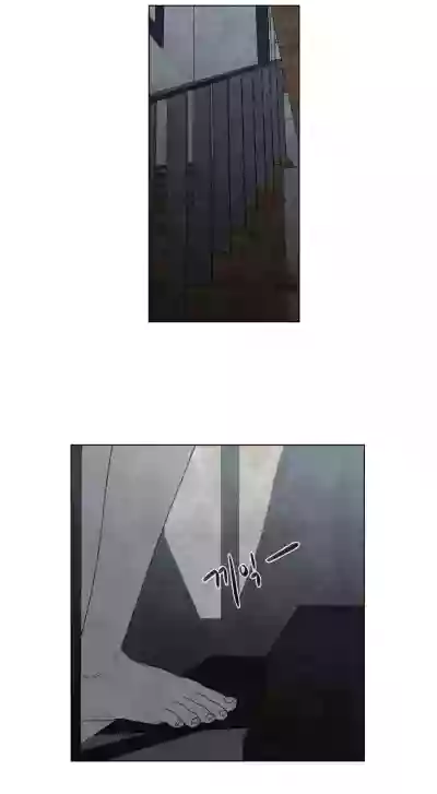 第425頁圖