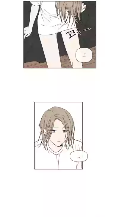 第453頁圖