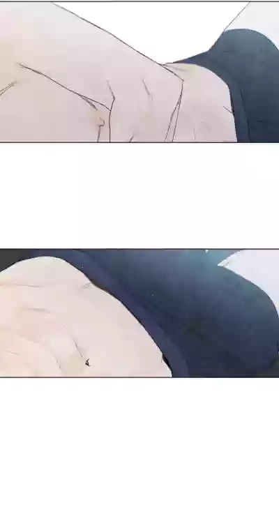 第513頁圖