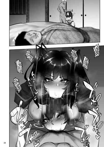 第33页图