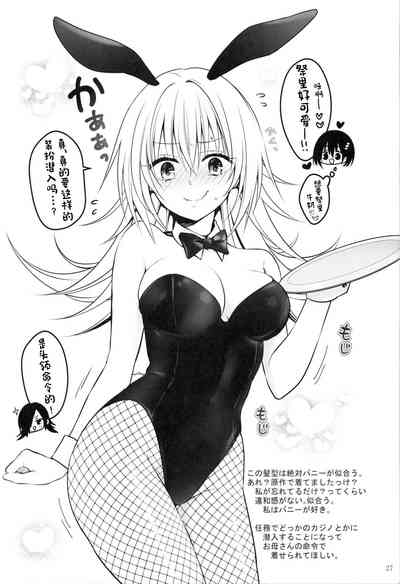 第29頁圖
