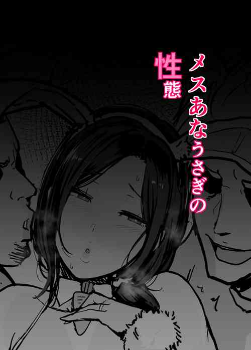 メスあなうさぎの性態圖