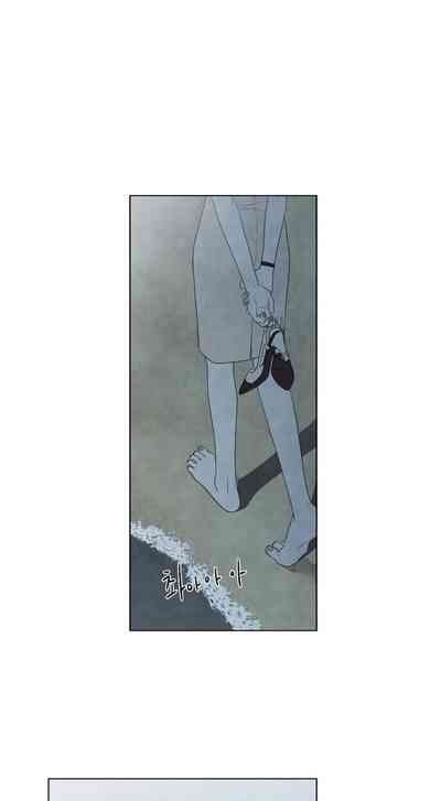第609頁圖