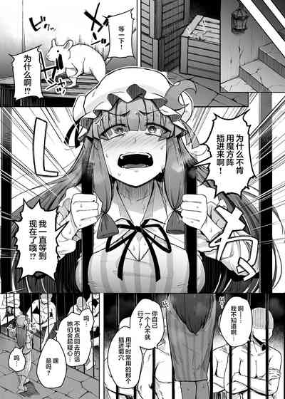 第5页图