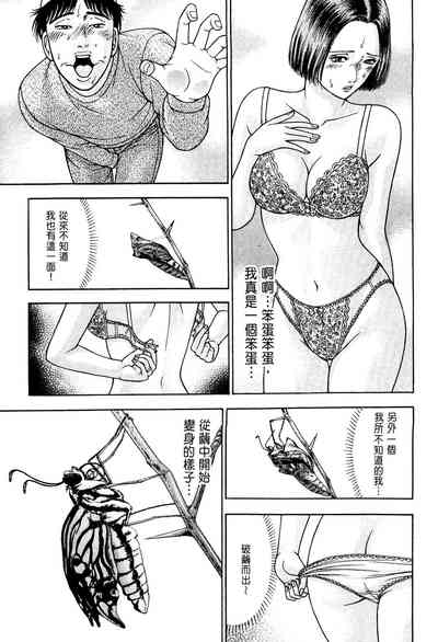 第25頁圖
