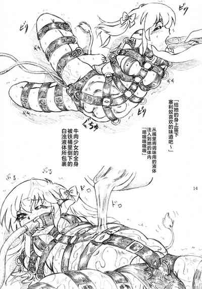 第13頁圖