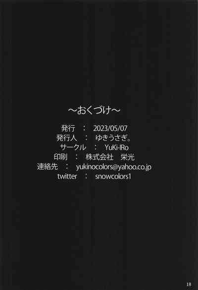 第17頁圖