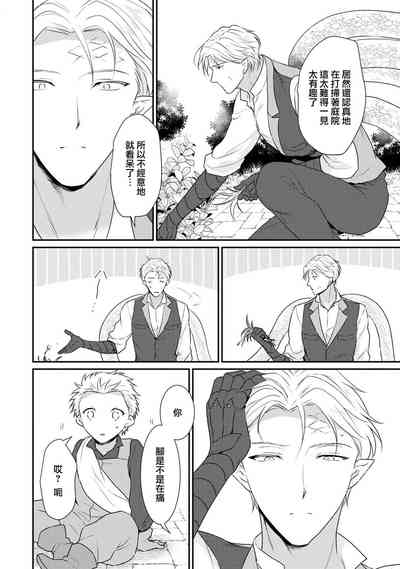第337頁圖