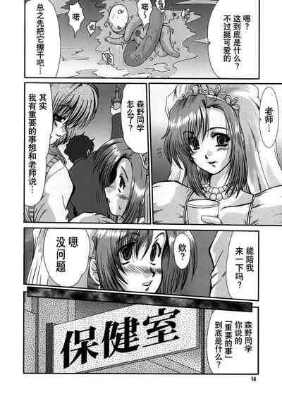 第13頁圖