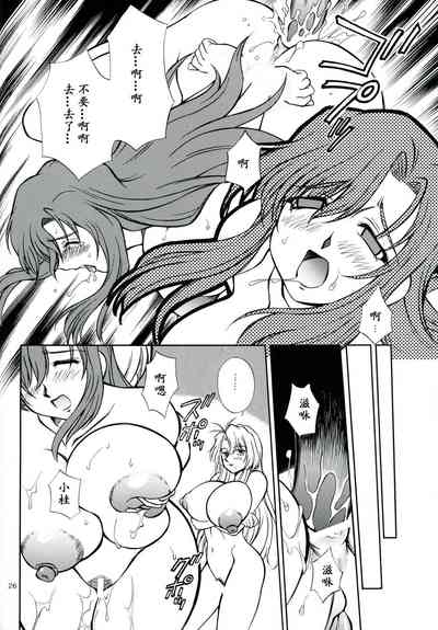 第25頁圖