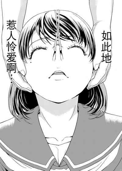 第17页图