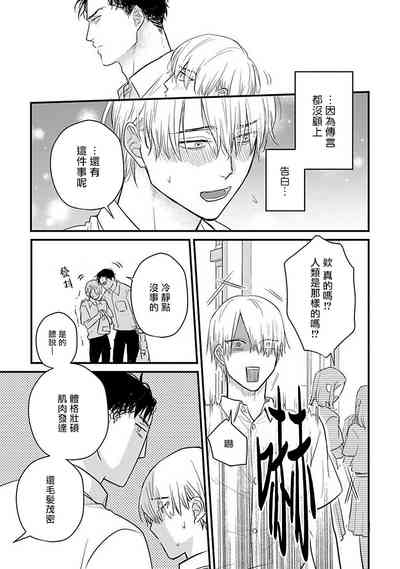 第513頁圖