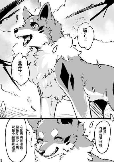 第1頁圖