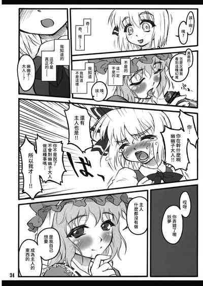 第33页图