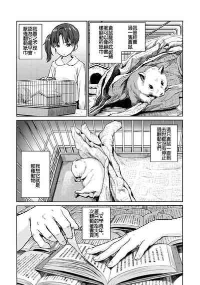 第13页图