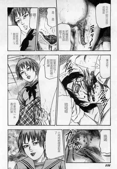 第233頁圖