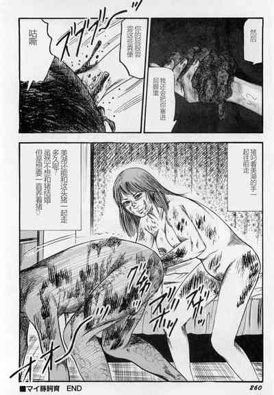 第261頁圖