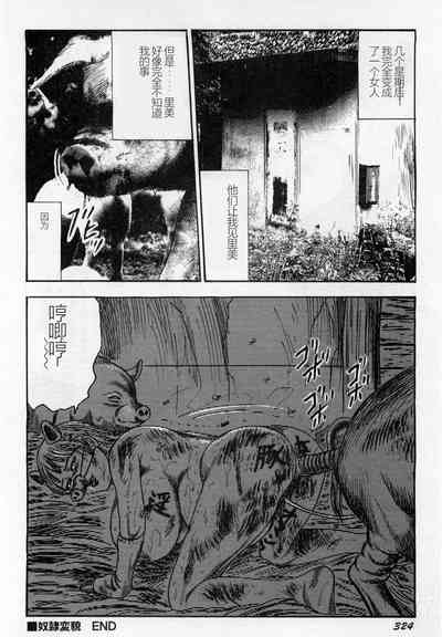 第325頁圖