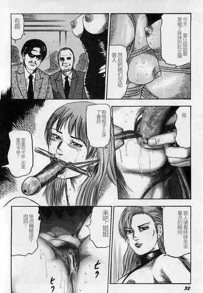 第33頁圖