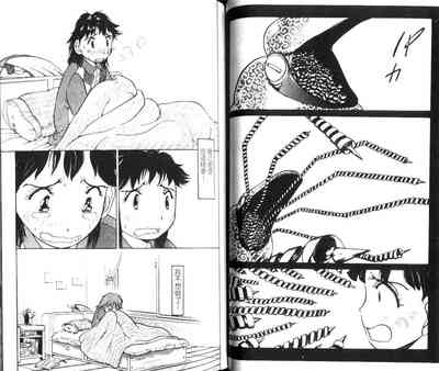 第61頁圖