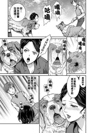 第9页图