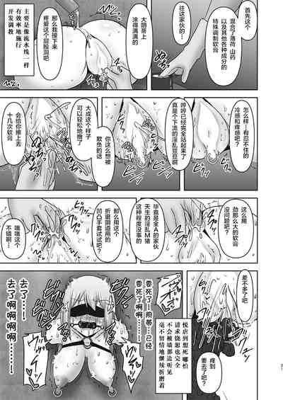 第425頁圖