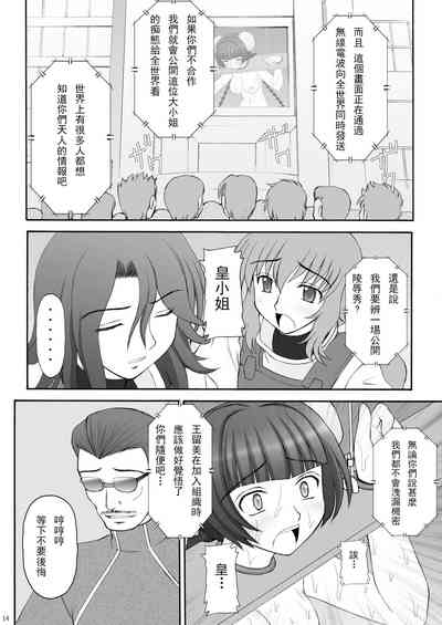 第13页图