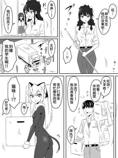 第33页图