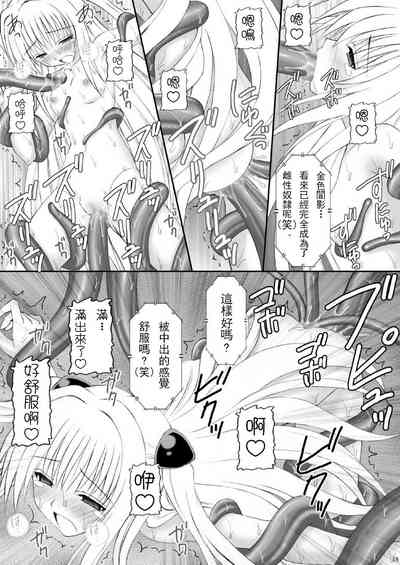 第17页图