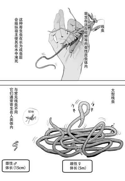 第1页 封面 - HaSM.cc