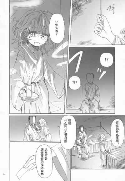第33頁圖