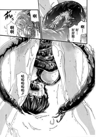 第17页图