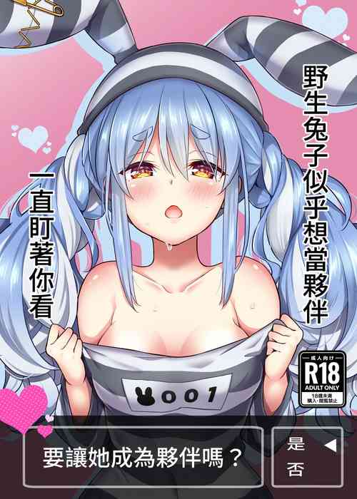 野生兔子似乎想當夥伴,一直町著你看圖
