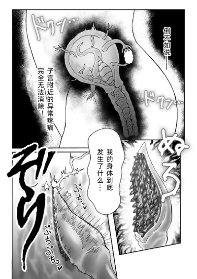 第13頁圖