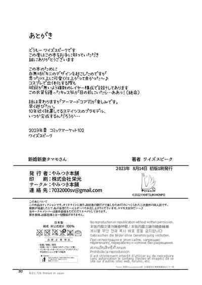 第29頁圖
