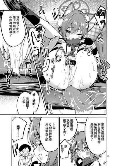 第17页图