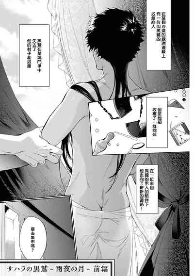 第5页图