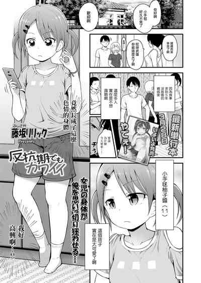 第1頁圖
