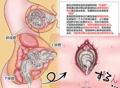 第5页图