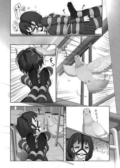 第13頁圖