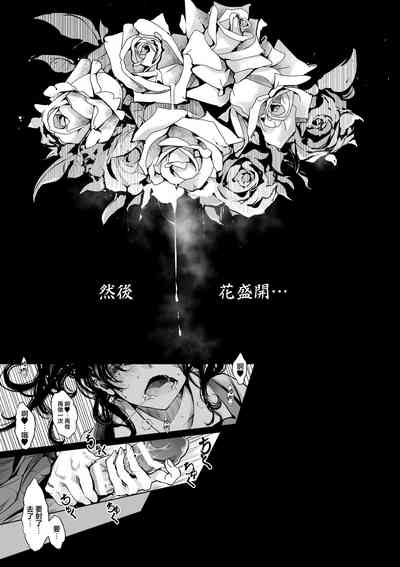 第37頁圖