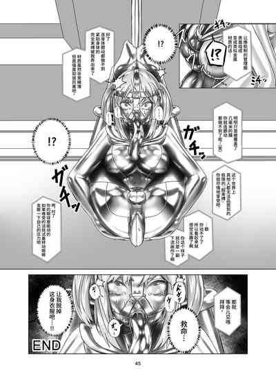 第45頁圖
